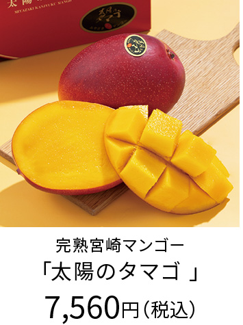旬のフルーツ・野菜 お取り寄せ ▽/旬のフルーツ_マンゴー | 井筒屋