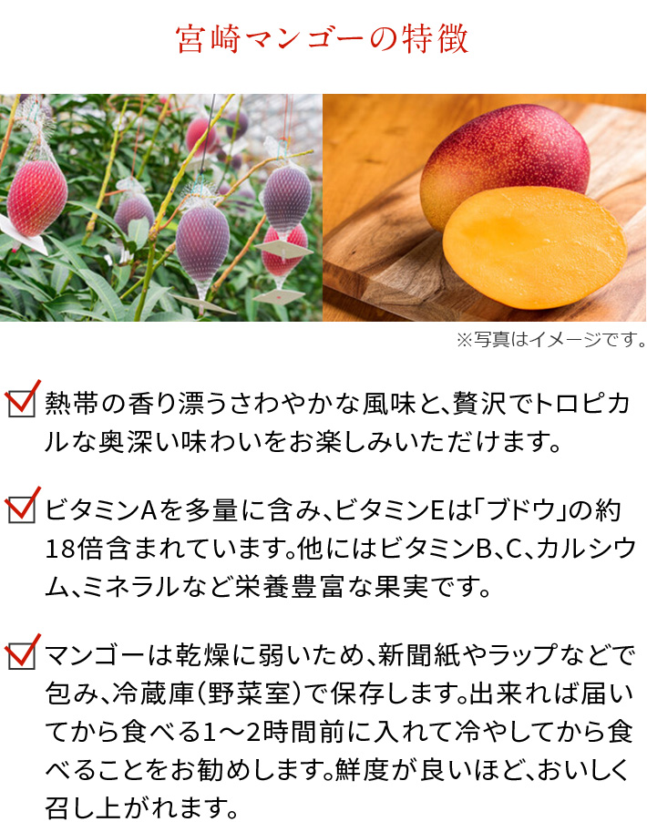 旬のフルーツ・野菜 お取り寄せ ▽/旬のフルーツ_マンゴー | 井筒屋